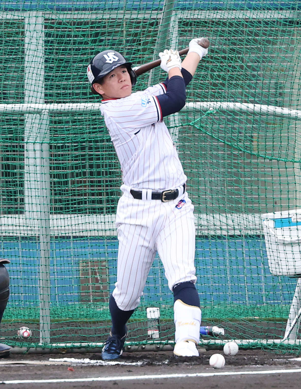 ヤクルト並木秀尊（26年2月撮影）　