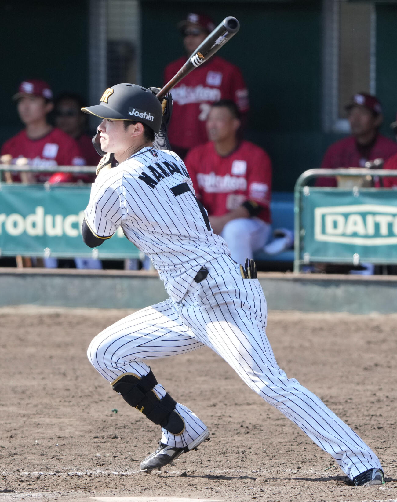 練習試合　阪神対楽天　5回裏阪神2死一、二塁、右前適時打を放つ中野（撮影・森本幸一）