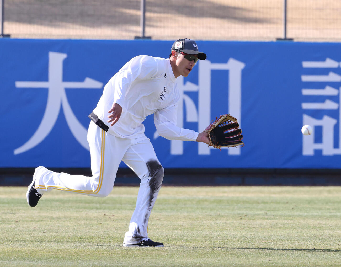守備練習で軽快な動きを見せる柳田（撮影・梅根麻紀）