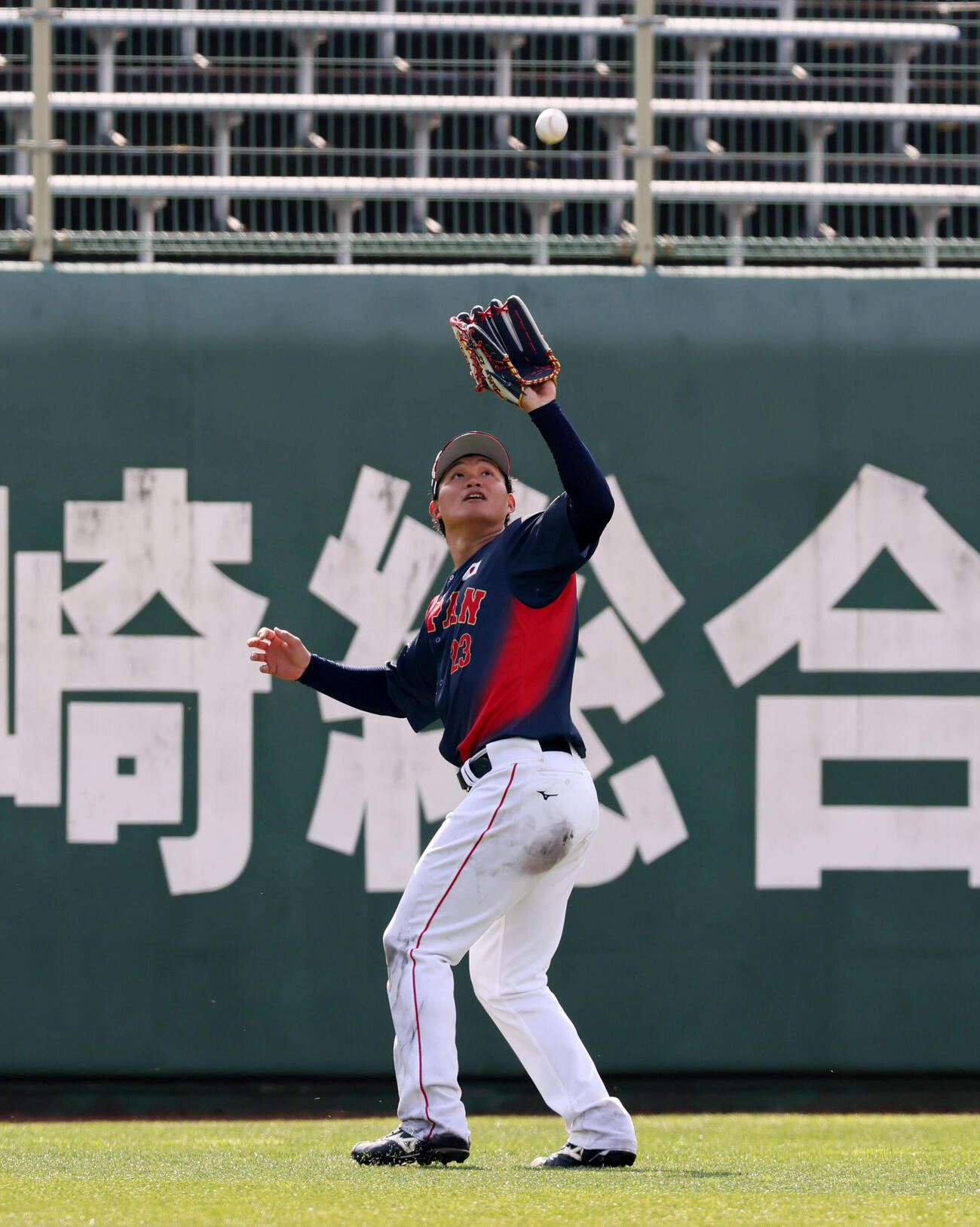 左翼で打撃練習のボールを捕球する侍ジャパン森下（撮影・加藤哉）
