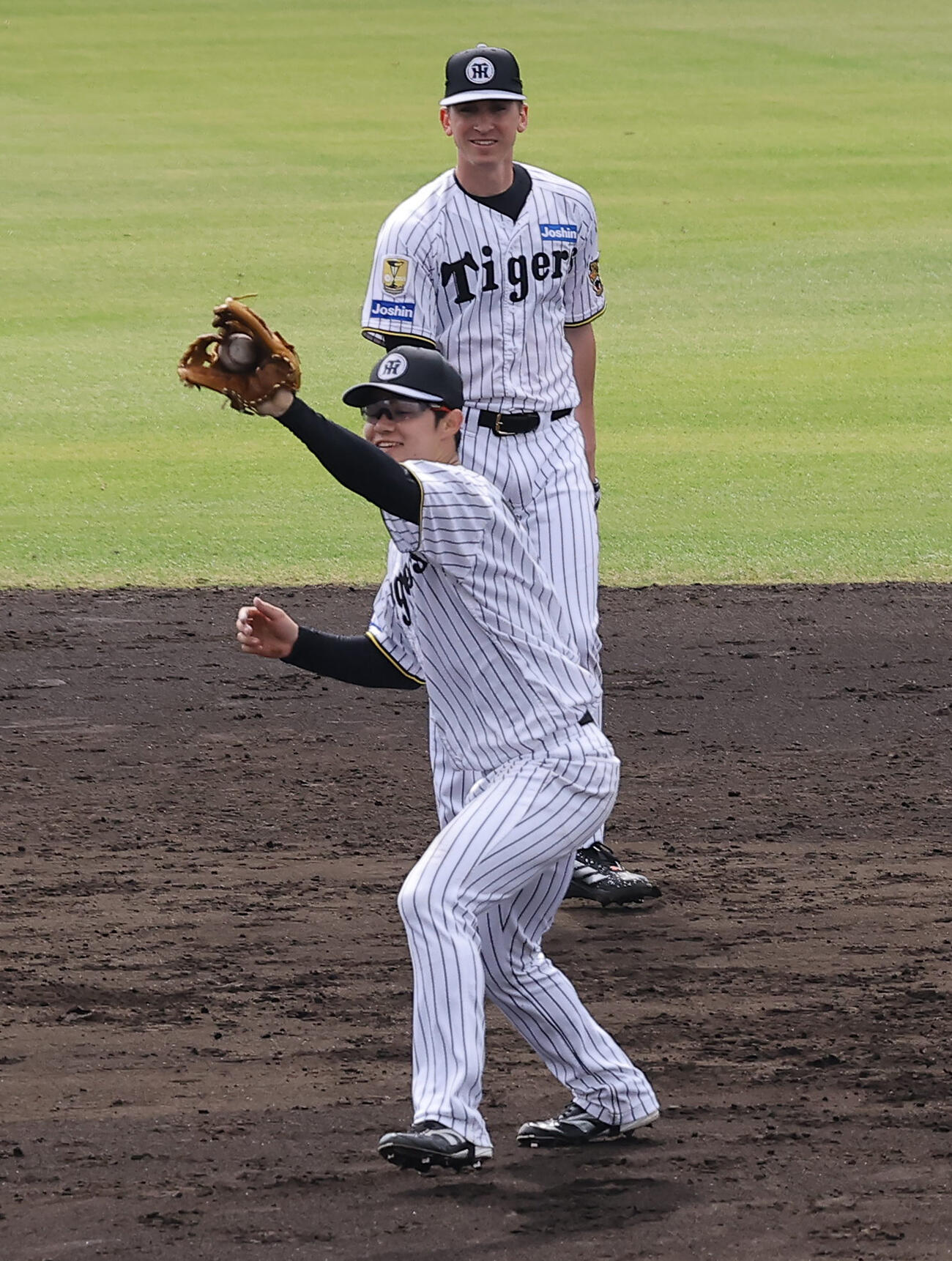 ノックを受ける阪神中野とディベイニー（撮影・上田博志）