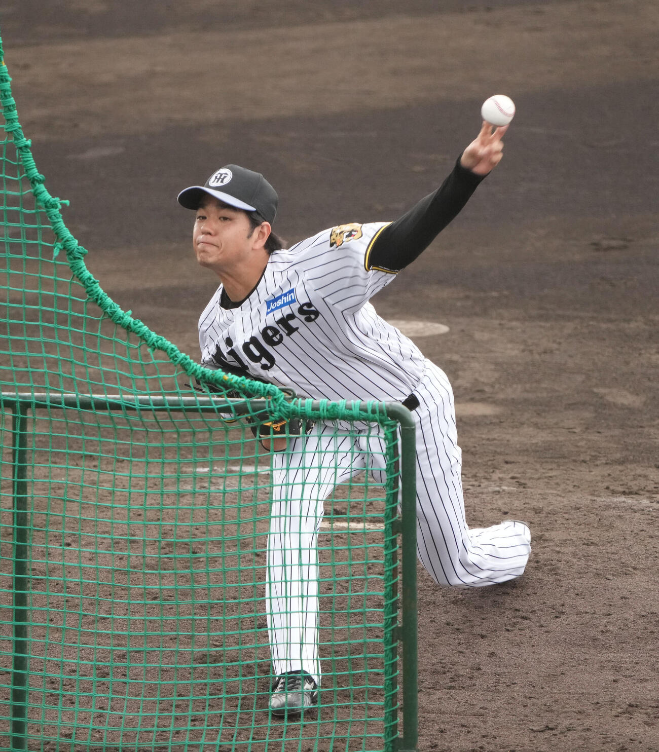 ライブBPに登板する高橋（撮影・森本幸一）