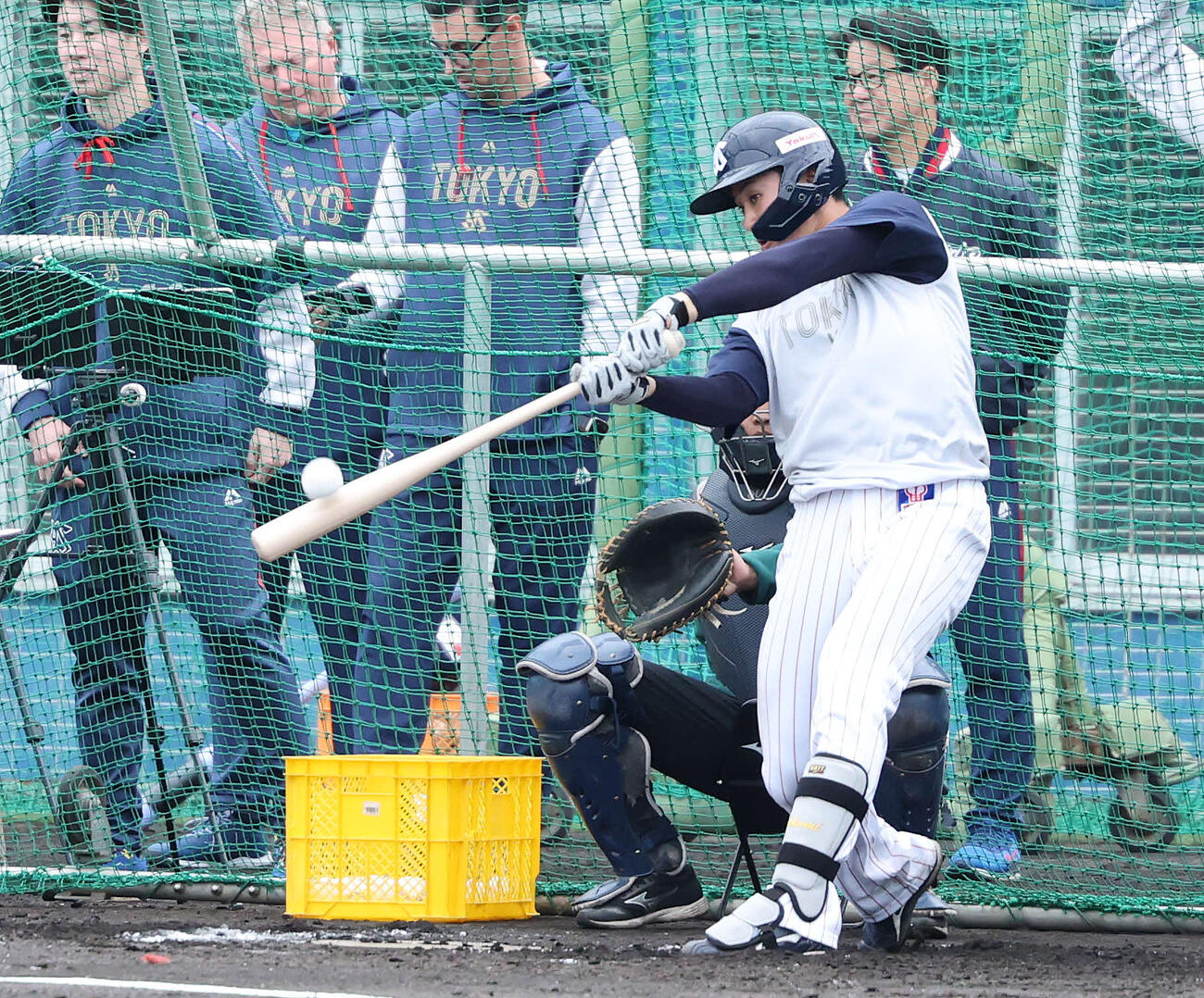 フリー打撃するヤクルト石井巧（撮影・鈴木正人）（26年2月9日）