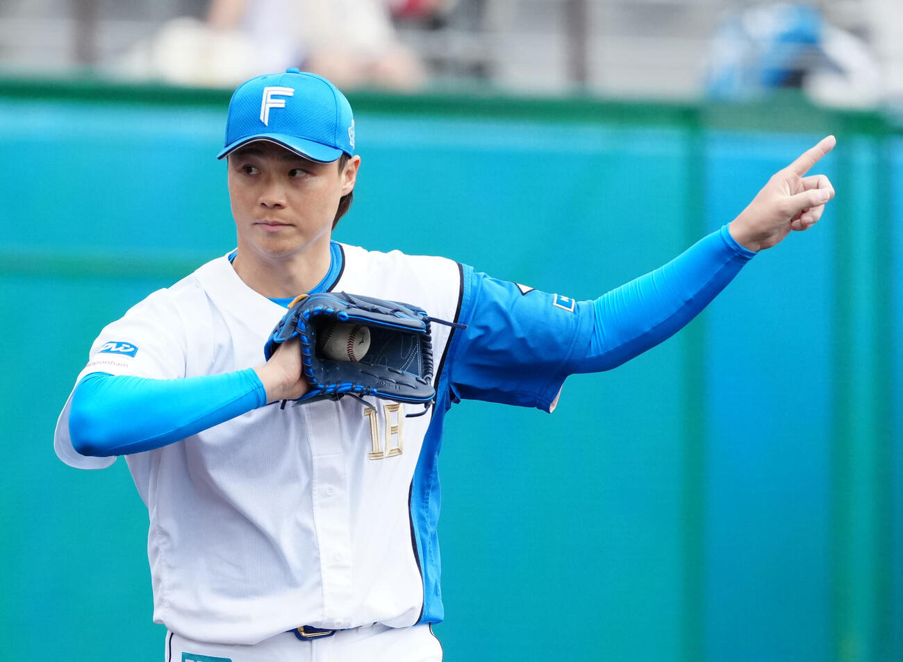 日本ハム対中日　4回表中日無死、スクリューで知野から空振り三振を奪った山崎（撮影・江口和貴）