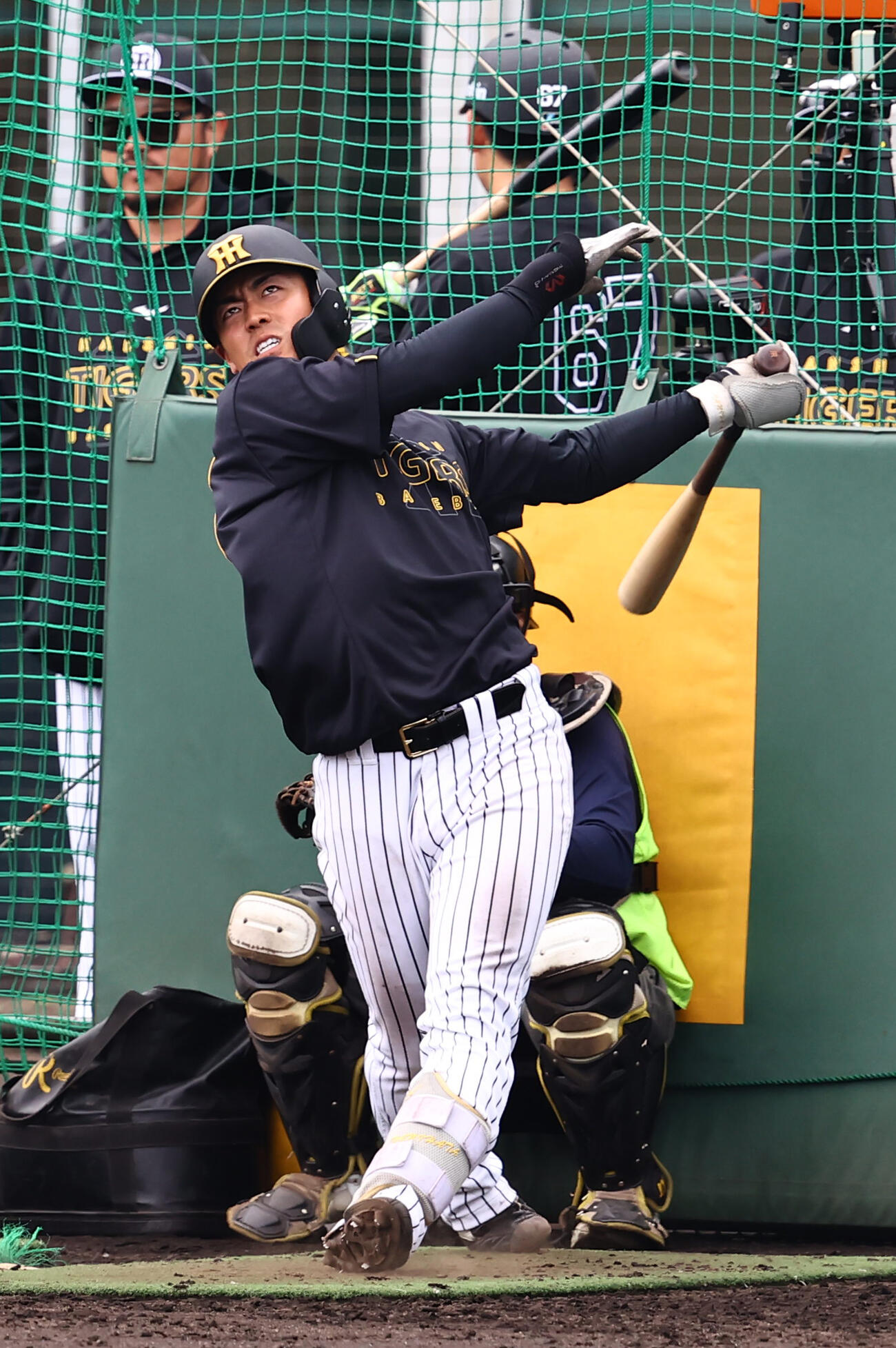 フリー打撃練習をする阪神谷端（撮影・上田博志）
