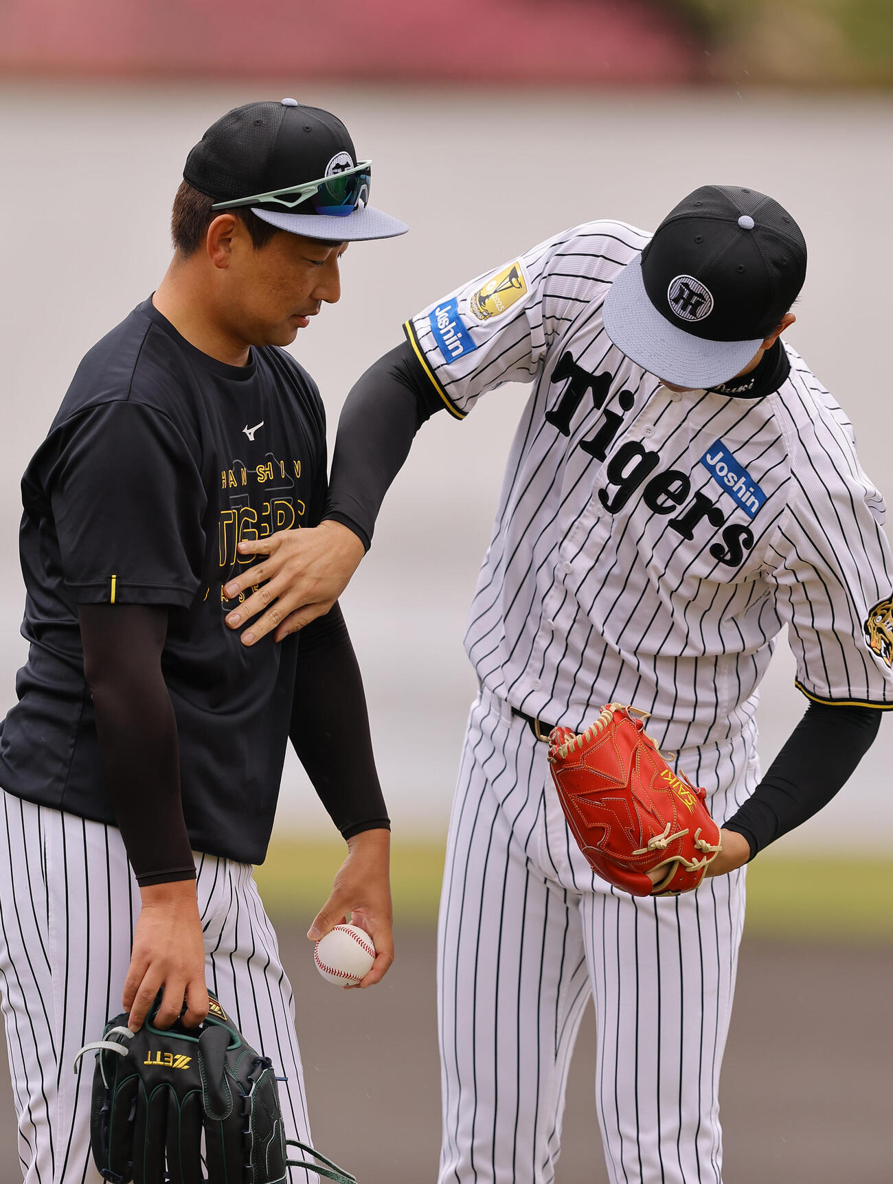 才木（右）のボディーチェックを受ける？岩崎（撮影・上田博志）