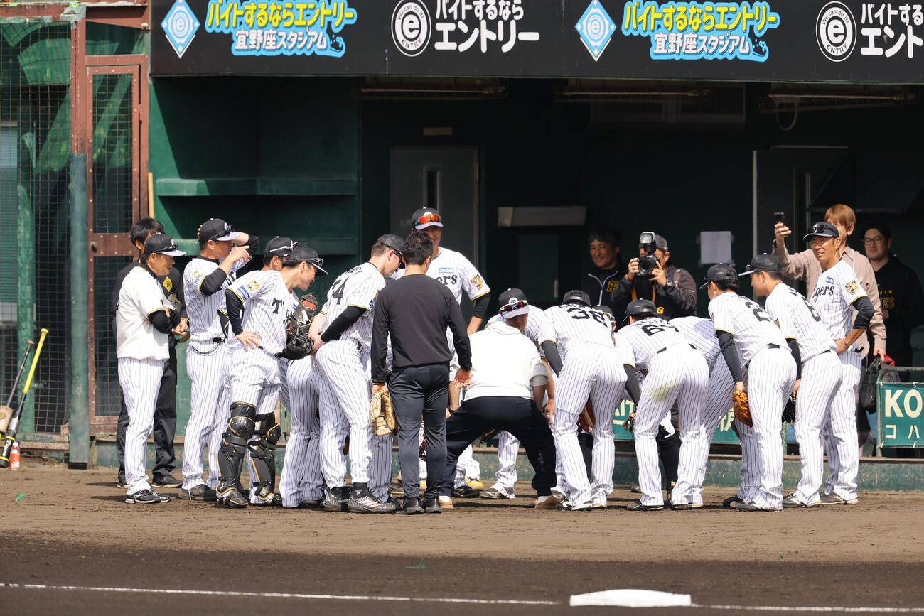 笑福亭鶴瓶（中央）は阪神ナインの円陣で声出しをする（撮影・上田博志）