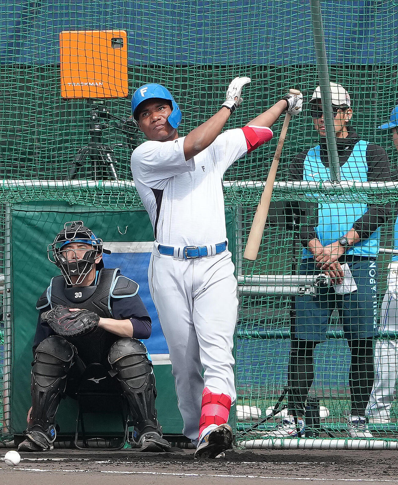 打撃練習する日本ハムエドポロケイン（撮影・足立雅史）