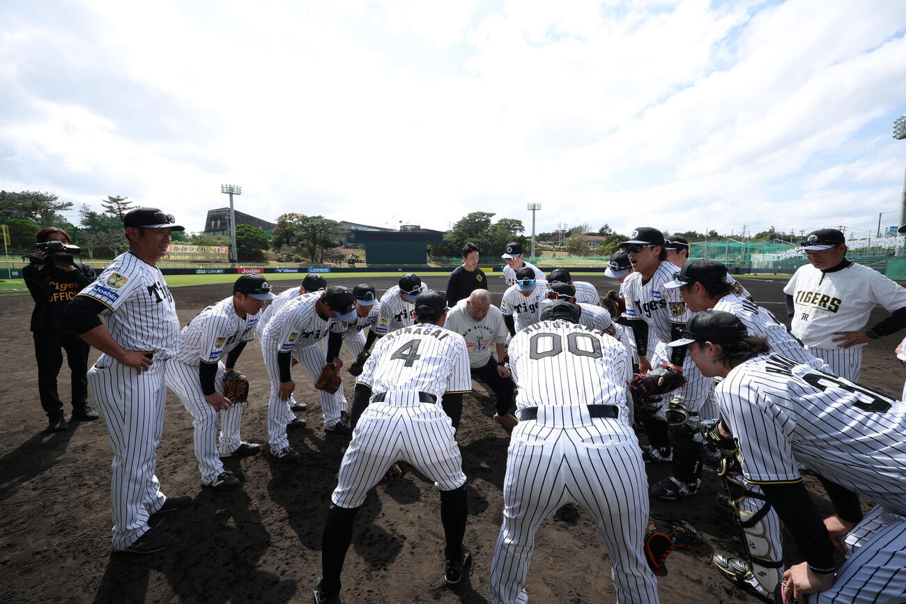 宜野座を訪れた笑福亭鶴瓶は阪神ナインと円陣でかけ声する（球団提供）