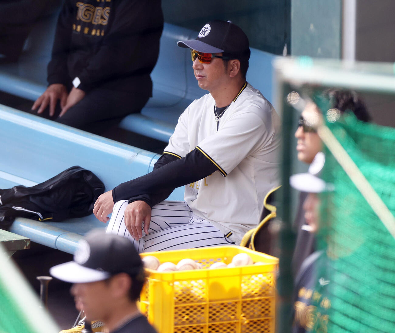 阪神藤川監督はベンチでシート打撃を確認する（撮影・上山淳一）