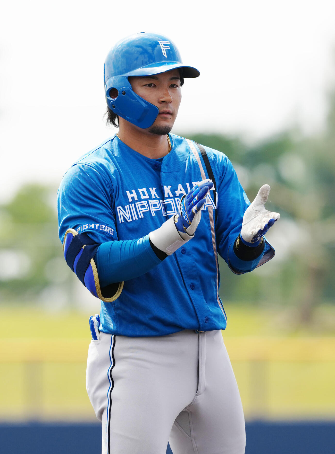 中日対日本ハム　3回表日本ハム1死一、二塁、2点適時三塁打を放った水野（撮影・江口和貴）