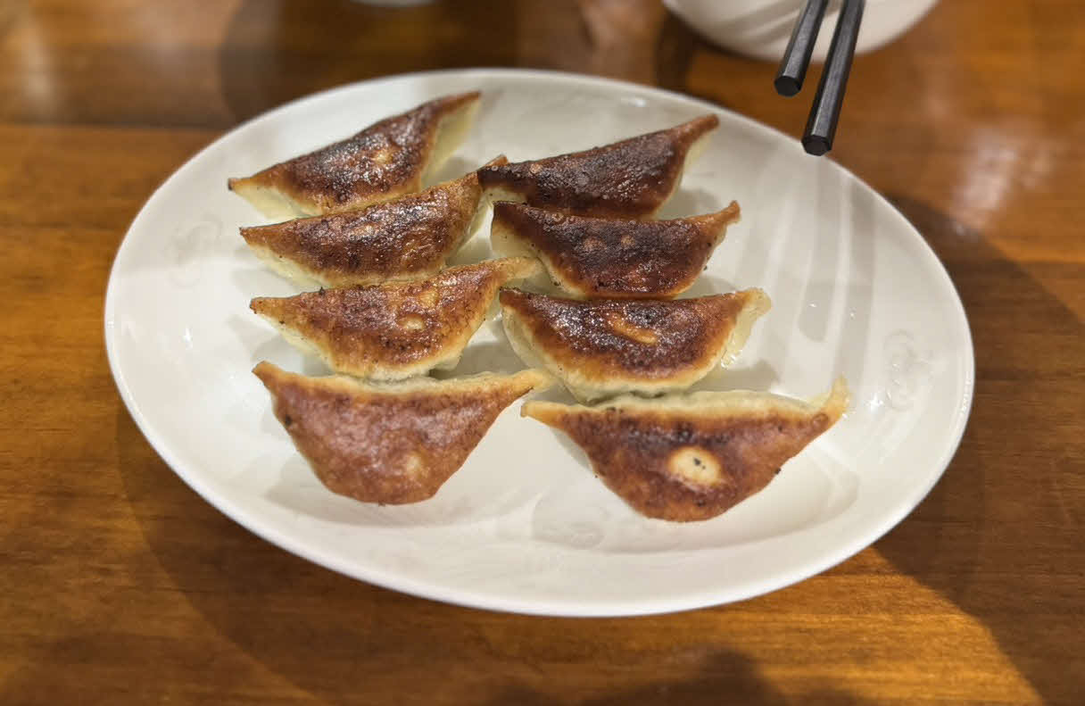 宮崎名物「ギョーザ」の名店「黒兵衛」のギョーザ（撮影・小早川宗一郎）