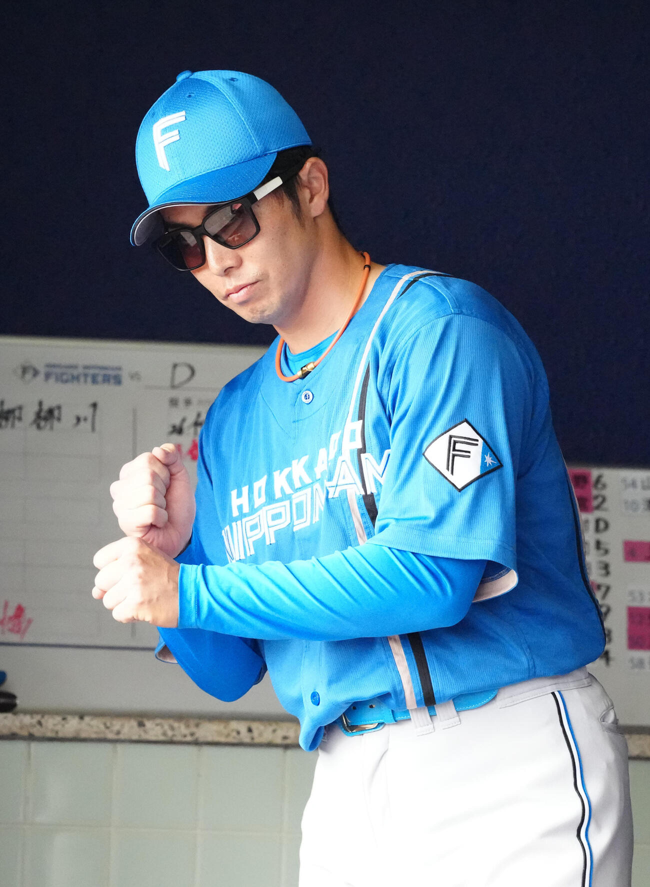 中日対日本ハム　ベンチからサインを出す日本ハム谷内内野守備走塁コーチ（撮影・江口和貴）