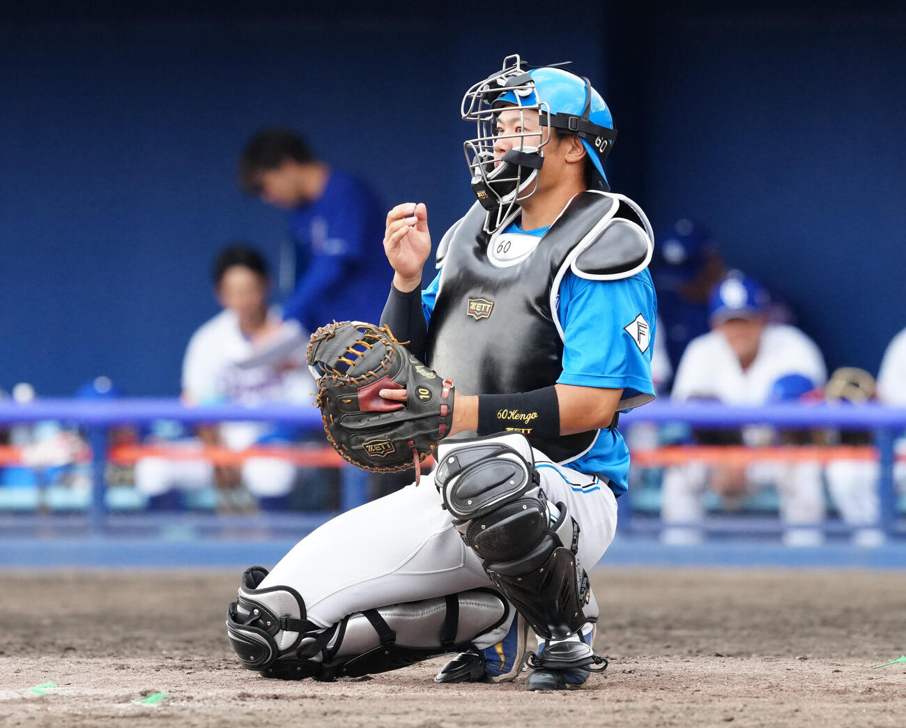 中日対日本ハム　日本ハム捕手の吉田（撮影・江口和貴）