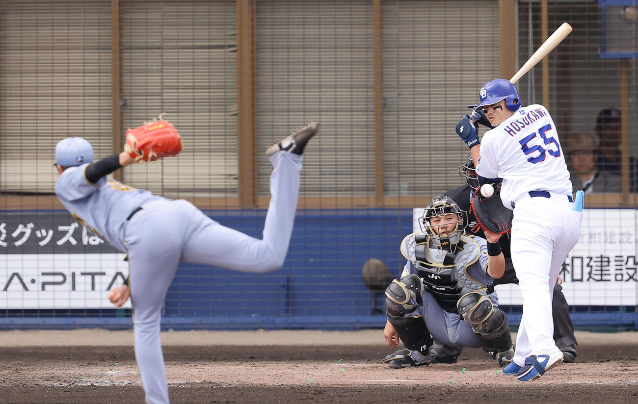 中日対阪神　4回裏中日無死、細川は才木から死球を受ける（撮影・上田博志）