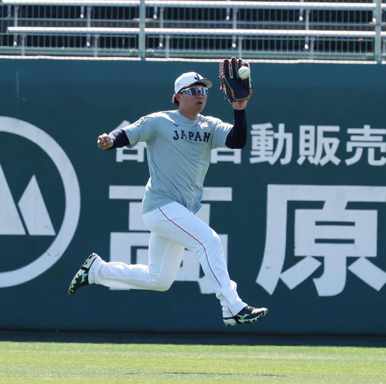 打撃練習の打球をランニングキャッチする侍ジャパン森下（撮影・加藤哉）
