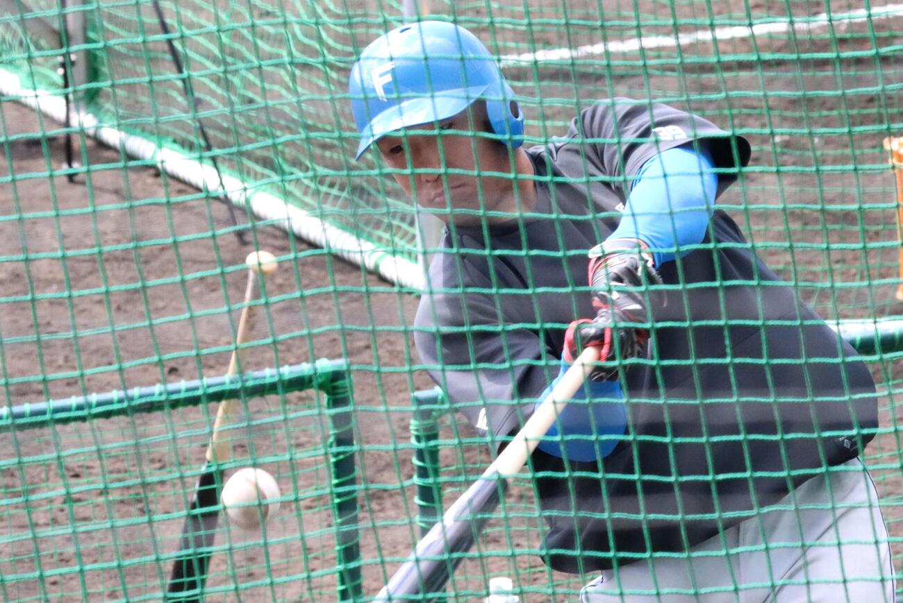 ティー打撃に励む日本ハム有薗（撮影・永野高輔）