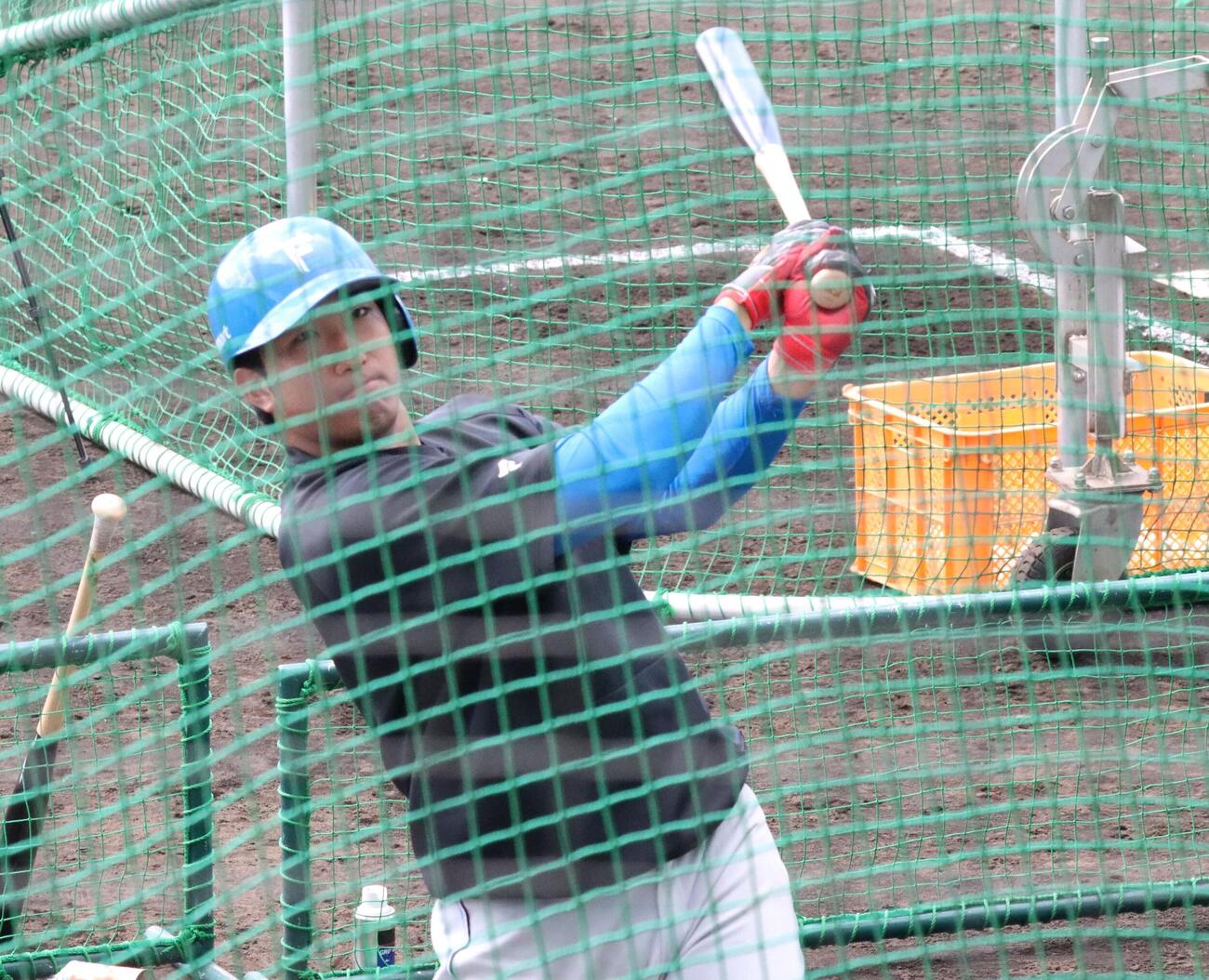 ティー打撃に励む日本ハム有薗（撮影・永野高輔）
