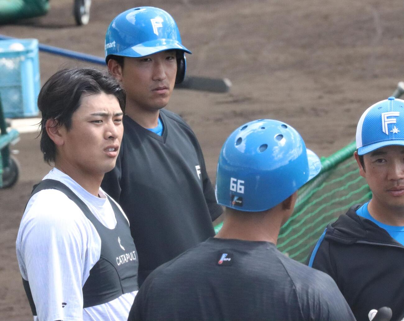 打撃練習の合間に真剣な表情で横尾打撃コーチ（右）の話に耳を傾ける（左から）日本ハム野村、有薗（撮影・永野高輔）