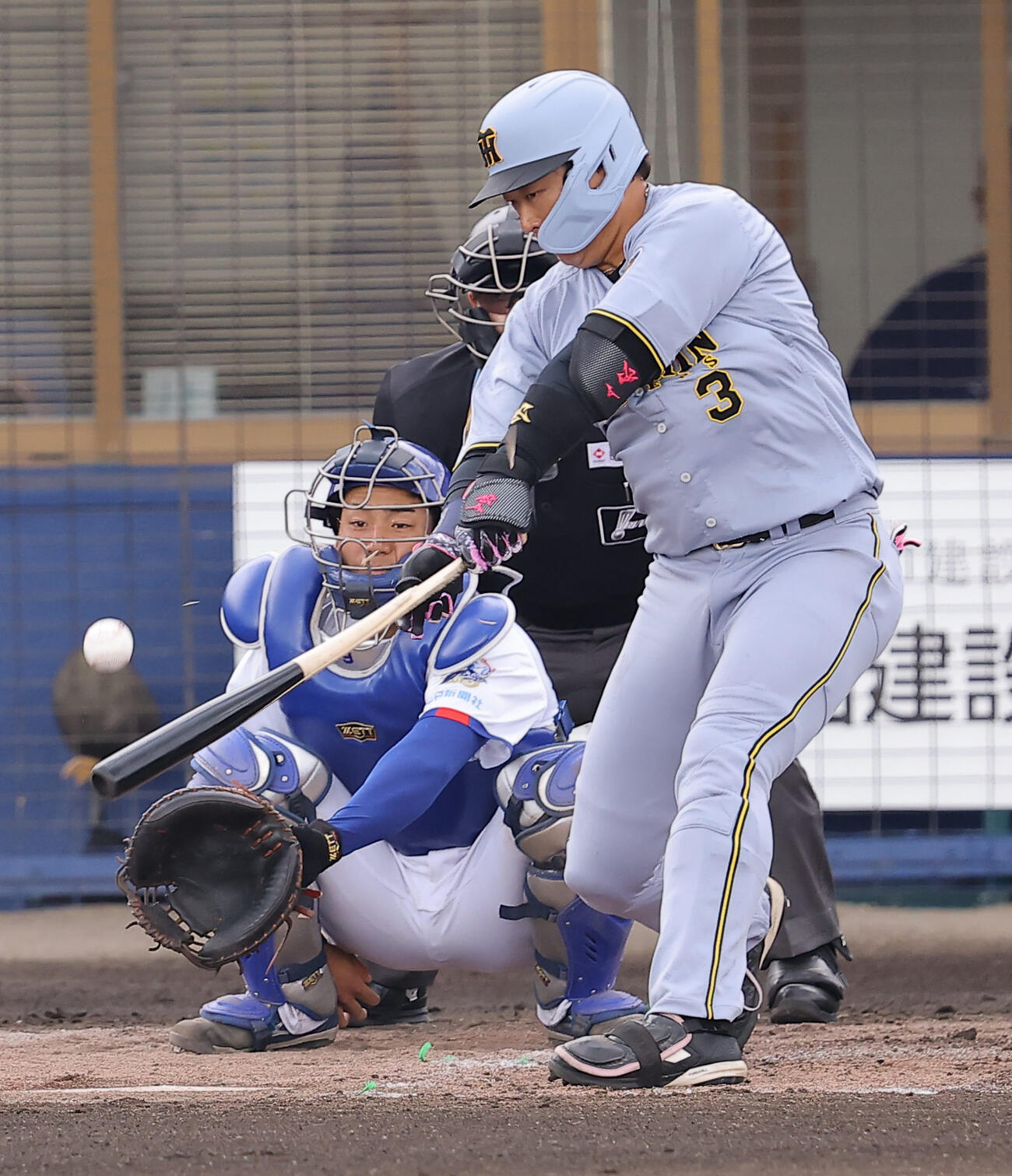 中日対阪神　2回表阪神無死、大山は安打を放つ（撮影・上田博志）