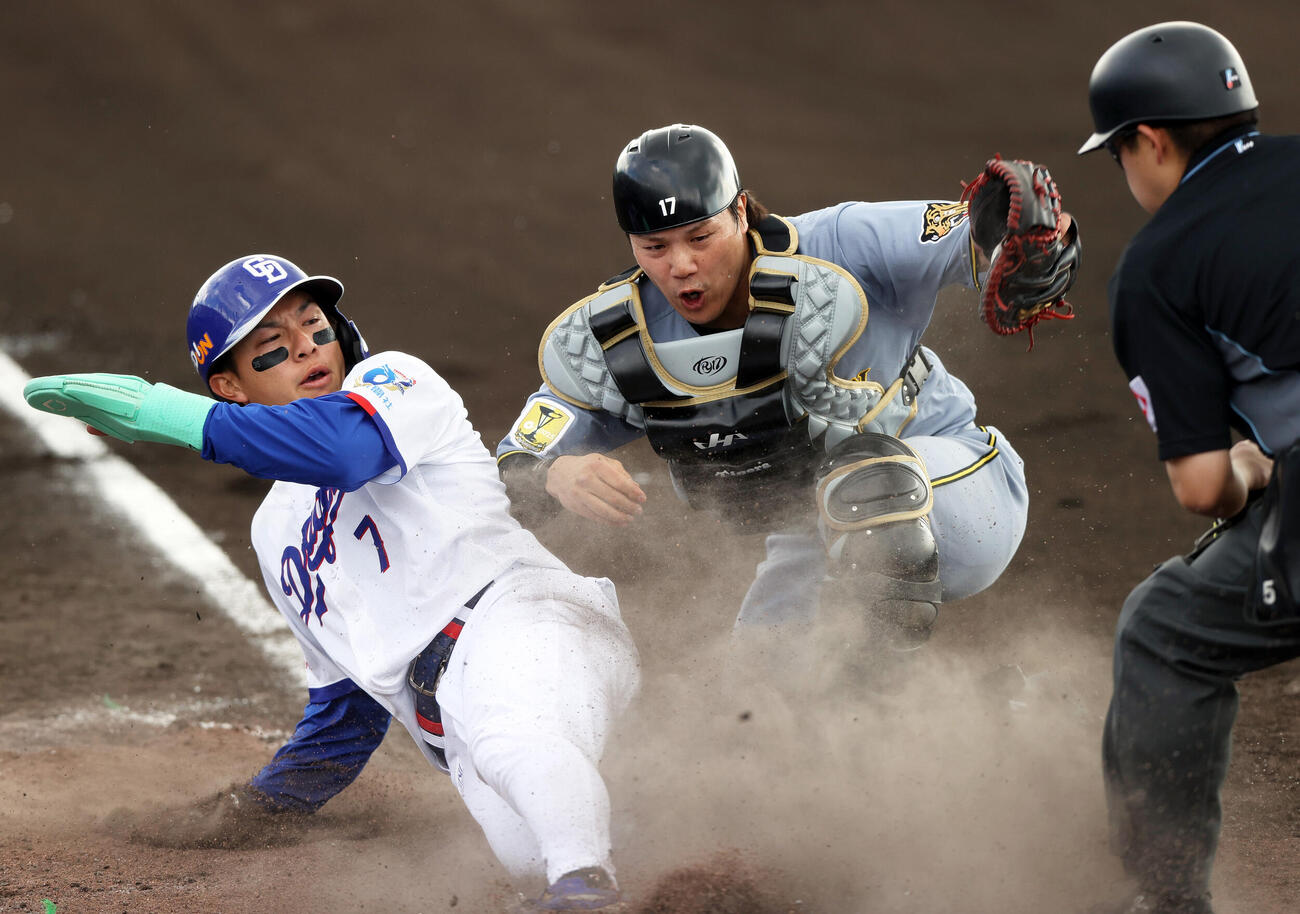 オープン戦　中日対阪神　2回裏中日2死二、三塁、二走福永（左）は辻本の中前適時打で本塁突入も憤死する、捕手伏見（撮影・上山淳一）