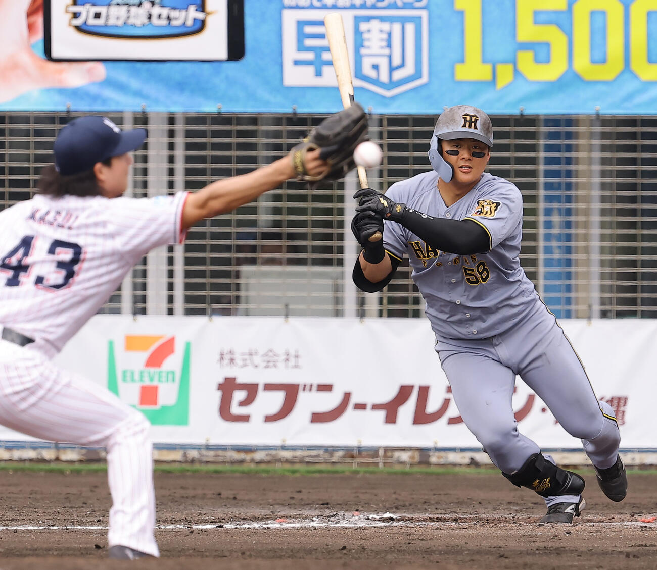 ヤクルト対阪神　5回表阪神1死一、三塁、前川は適時打を放つ（撮影・上田博志）