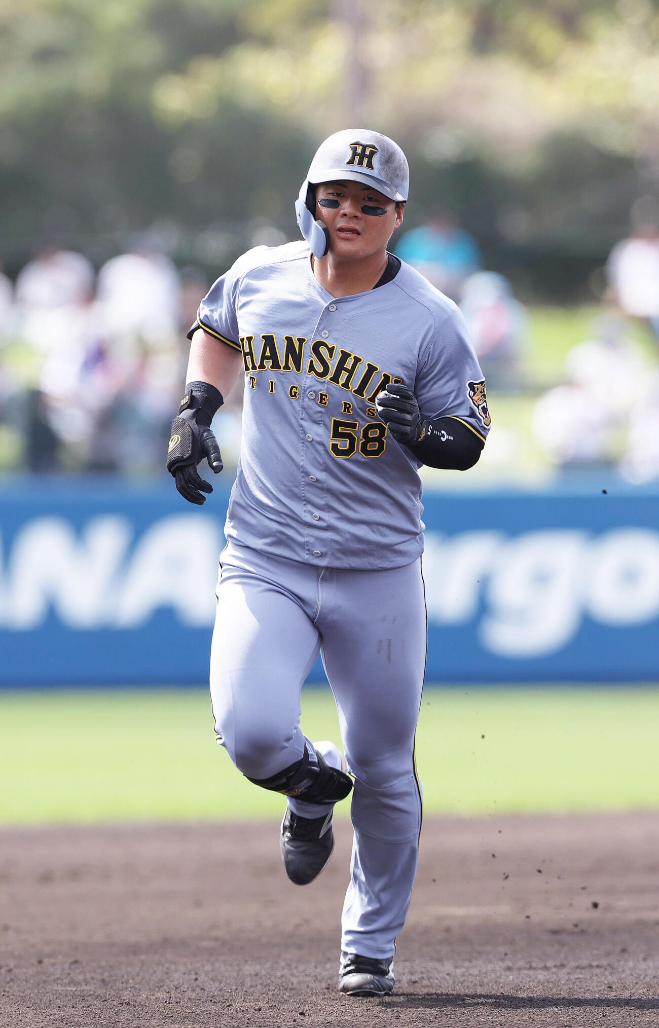 オープン戦　ヤクルト対阪神　2回表阪神1死、前川は右越え本塁打を放ちダイヤモンドを1周する（撮影・上山淳一）