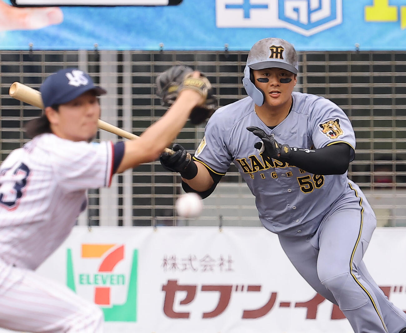 ヤクルト対阪神　5回表阪神1死一、三塁、前川は適時打を放つ（撮影・上田博志）