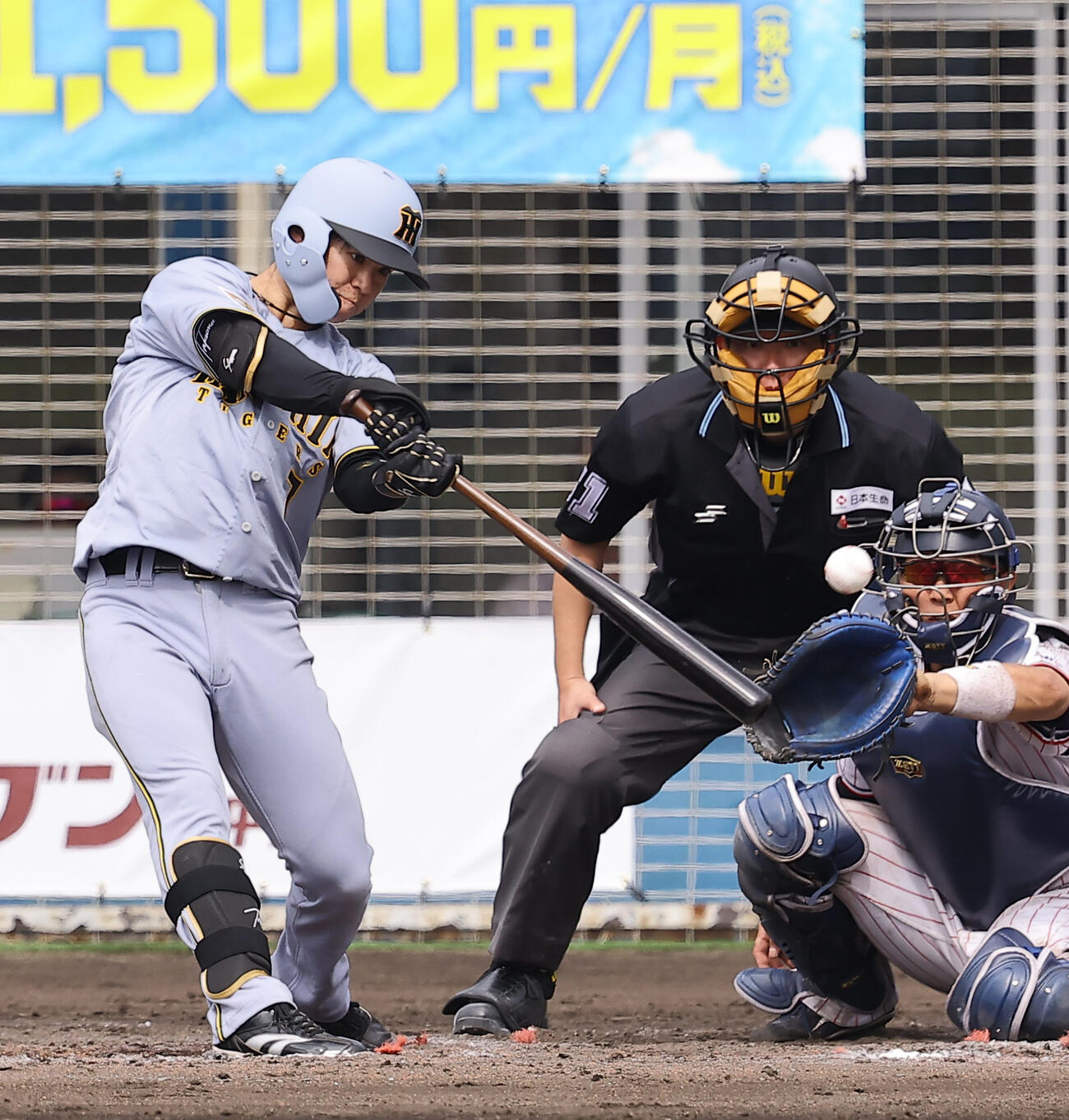 ヤクルト対阪神　5回表阪神無死一塁、中野は左前打を放つ（撮影・上田博志）