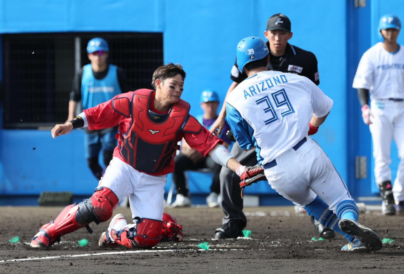 日本ハム対広島　7回裏日本ハム1死一、三塁、水野の一ゴロで有薗は本塁アウト。捕手は坂倉（撮影・加藤孝規）