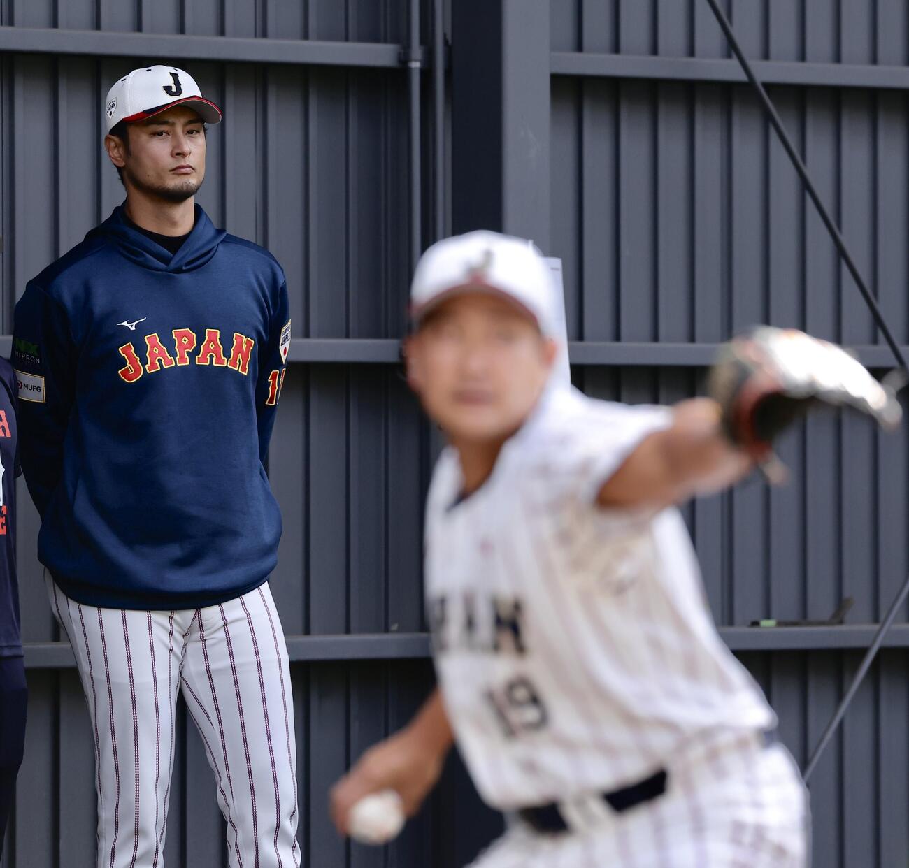 ブルペンで菅野の投球を見つめるアドバイザーのダルビッシュ（撮影・河田真司）
