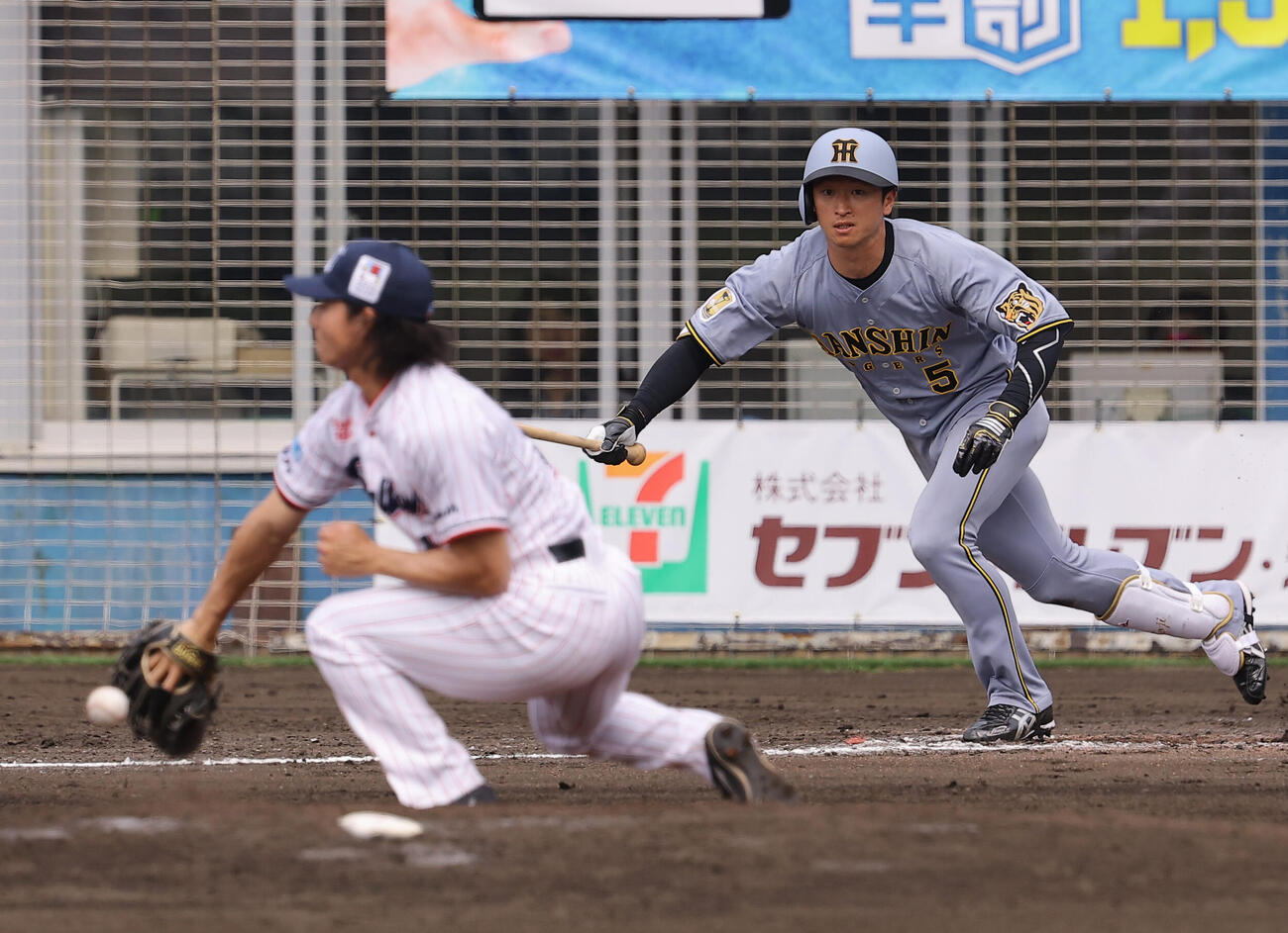 ヤクルト対阪神　5回表阪神無死、近本光司は内野安打を放つ（撮影・上田博志）