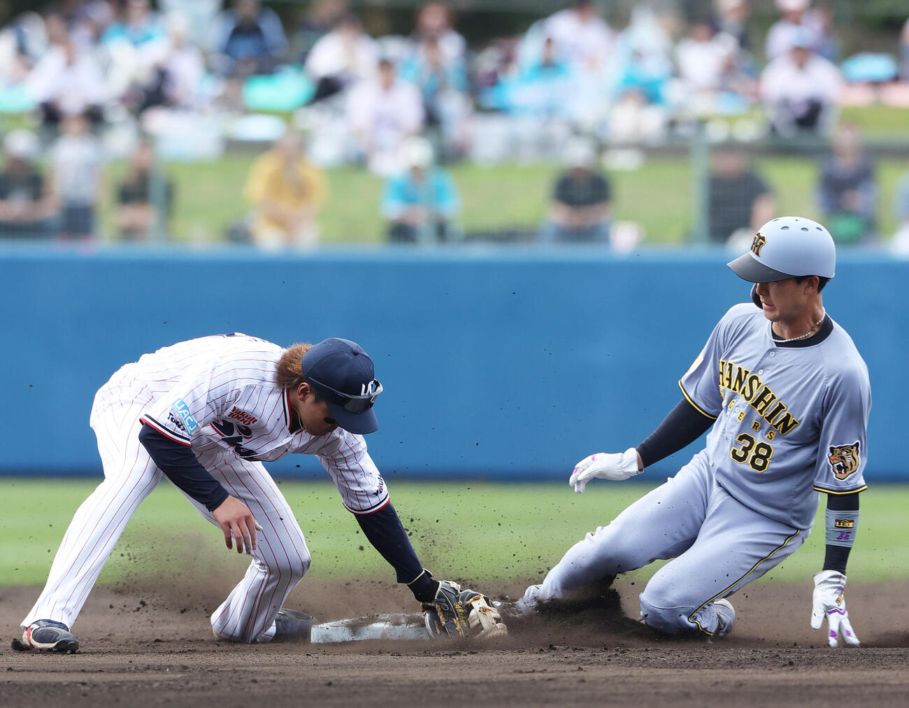オープン戦　ヤクルト対阪神　4回表阪神1死一塁、打者の梅野の時、二盗を決める一走小幡（右）（撮影・上山淳一）