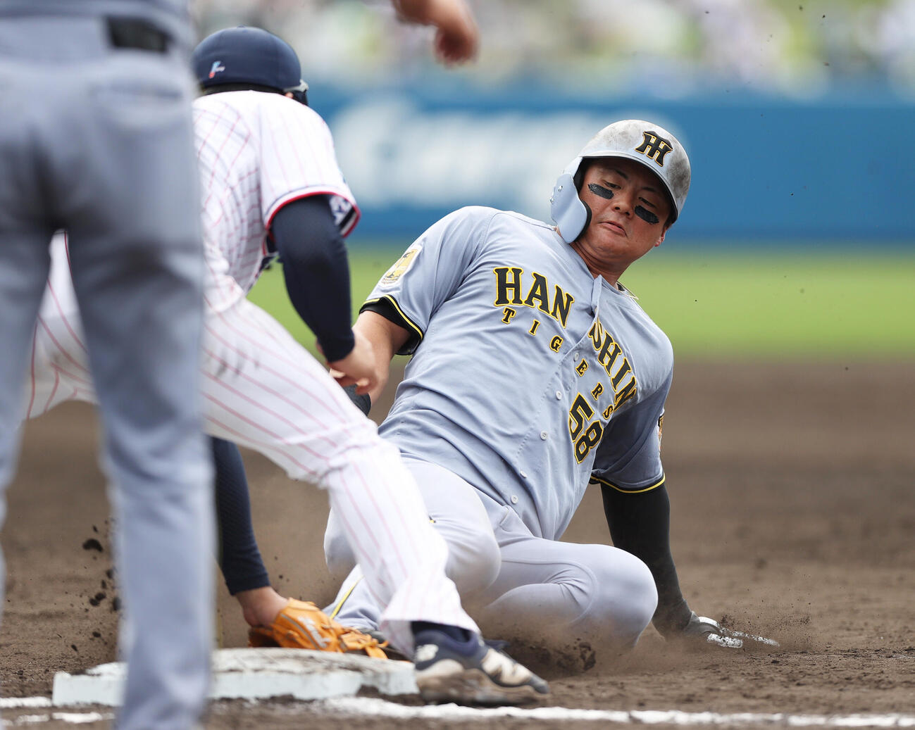 オープン戦　ヤクルト対阪神　5回表阪神2死一、二塁、一走前川（右）は小幡の右前適時打で三塁を狙うもタッチアウト（撮影・上山淳一）