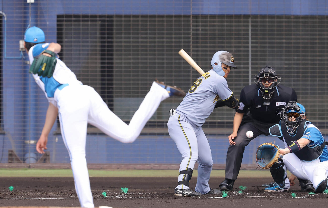 日本ハム対阪神　2回表阪神無死、三振に倒れる前川。投手は達（撮影・上田博志）