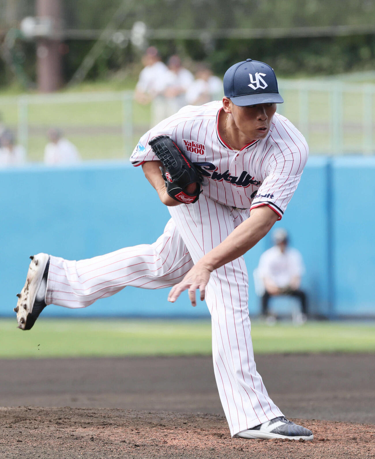 ヤクルト対広島　ヤクルト先発の山野（撮影・加藤孝規）
