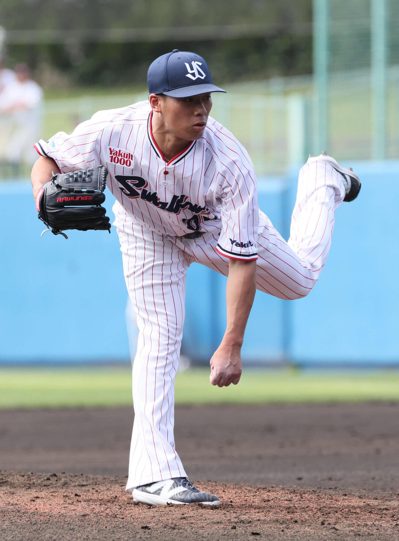ヤクルト対広島　ヤクルト先発の山野（撮影・加藤孝規）