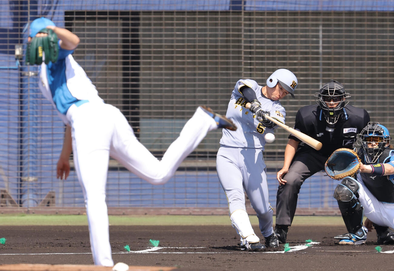 日本ハム対阪神　1回表阪神無死、近本は右前打を放つ（撮影・上田博志）
