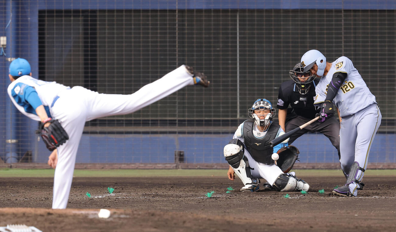日本ハム対阪神　9回表阪神無死、遊ゴロに倒れる西純（撮影・上田博志）