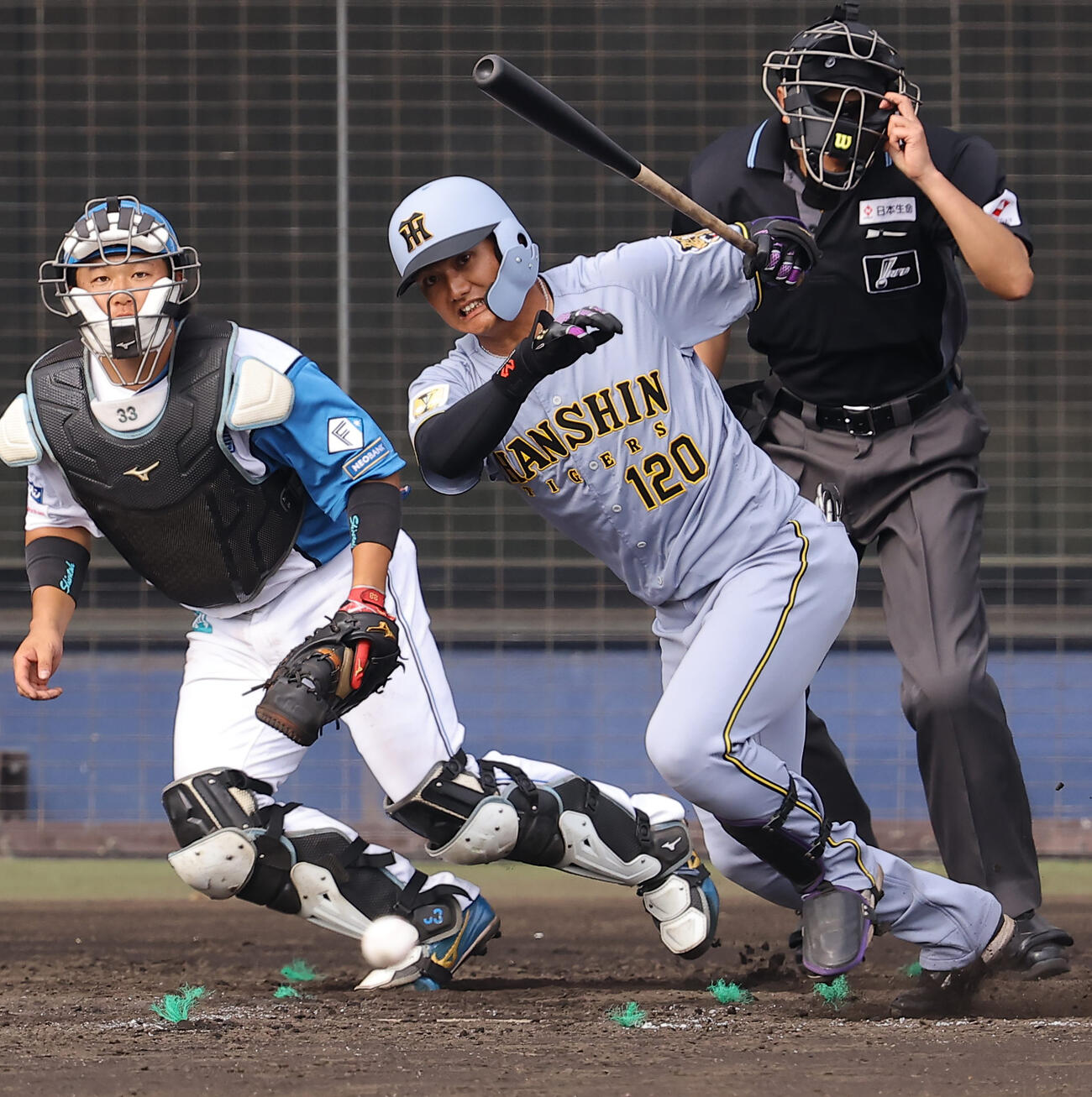 日本ハム対阪神　9回表阪神無死、遊ゴロに倒れる西純（撮影・上田博志）