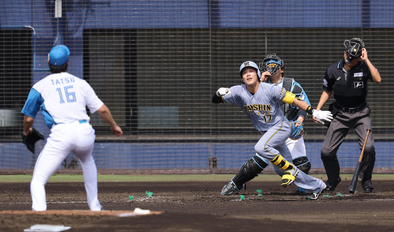 日本ハム対阪神　3回表阪神無死、伏見は達に投ゴロに抑えられる（撮影・上田博志）