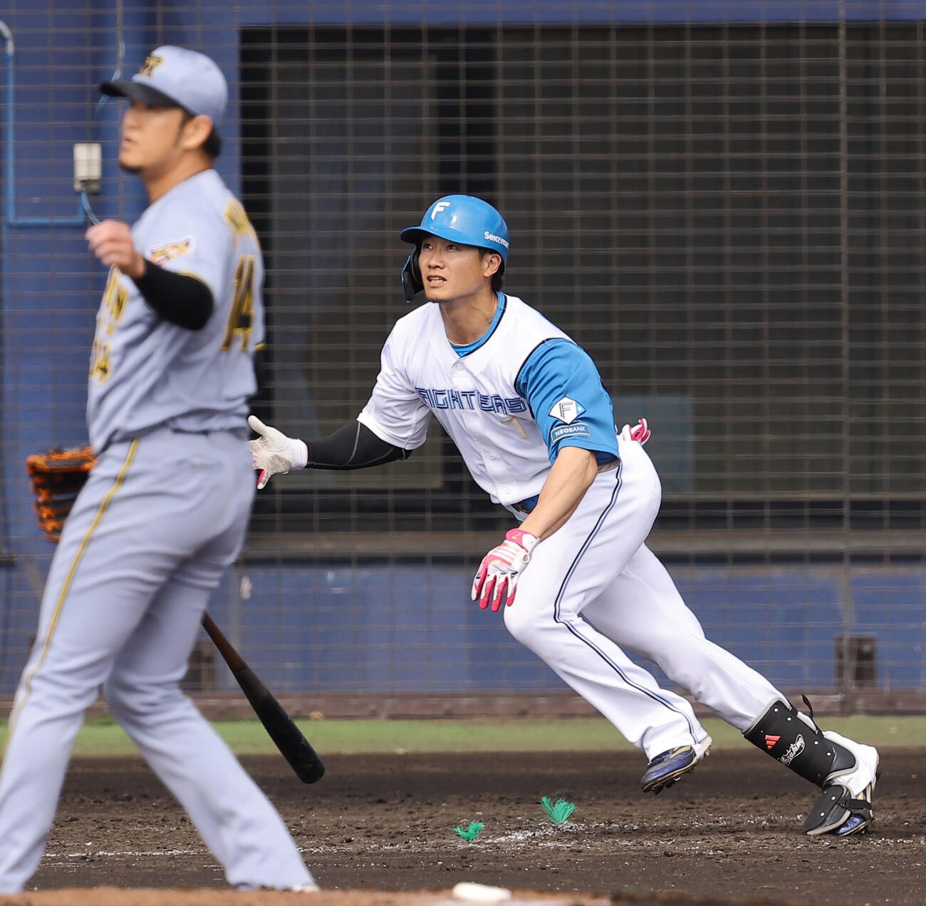 日本ハム対阪神　4回裏日本ハム1死、西川は右越えソロ本塁打を放つ（撮影・上田博志）