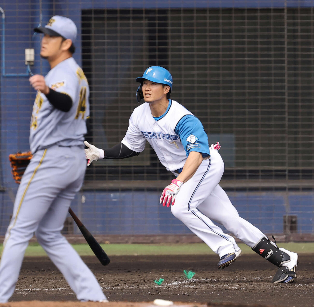 日本ハム対阪神　4回裏日本ハム1死、西川は右越えソロ本塁打を放つ（撮影・上田博志）