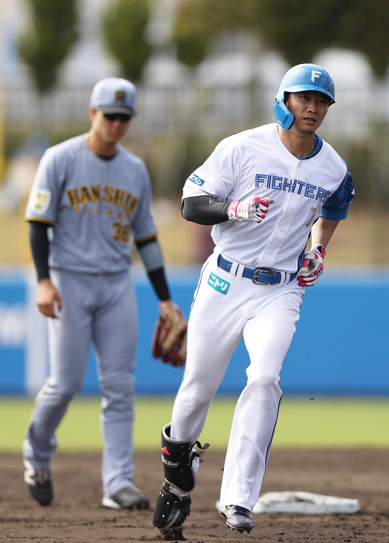 オープン戦　日本ハム対阪神　4回裏日本ハム1死、西川（手前）は右越え本塁打を放ちダイヤモンドを1周する（撮影・上山淳一）