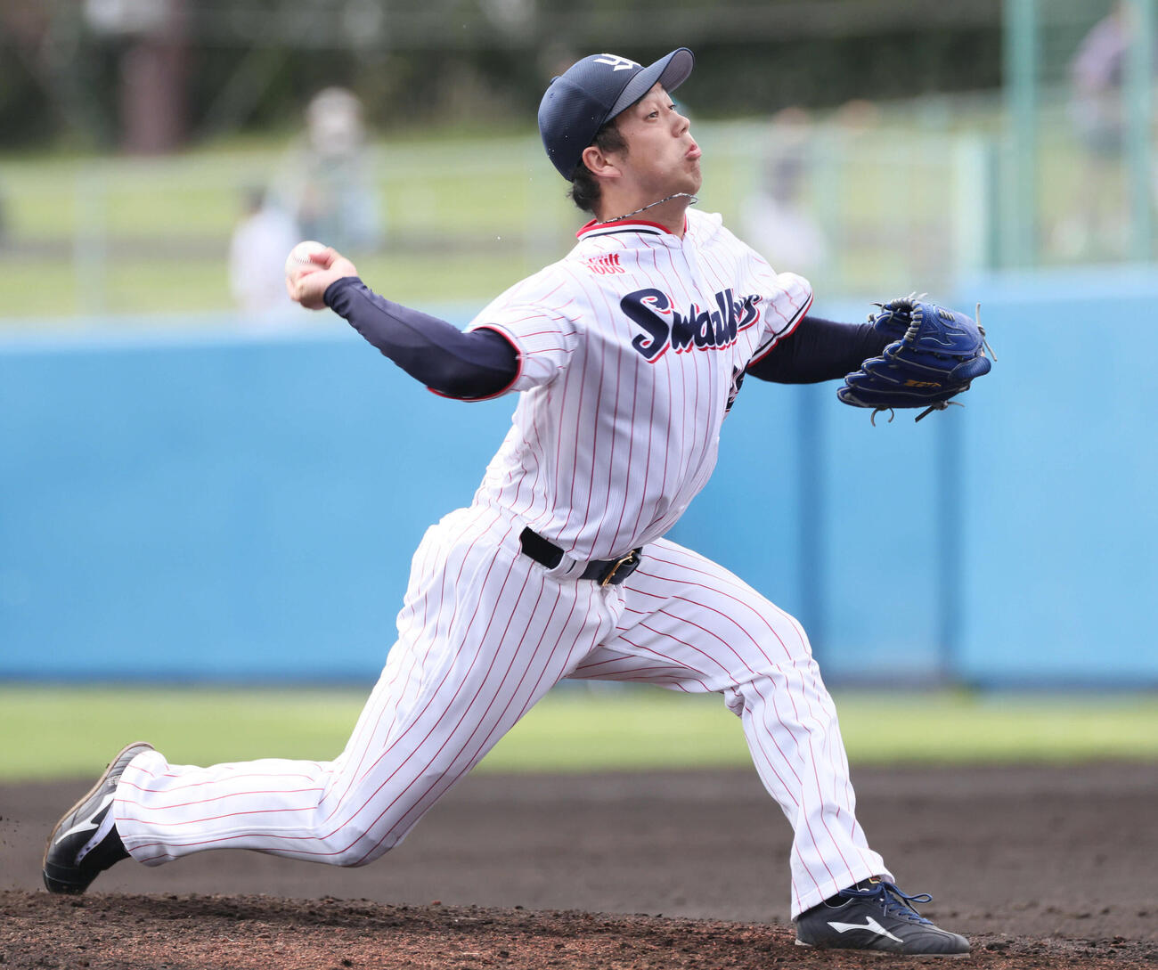 ヤクルト対広島　6回表広島、ヤクルト3番手の青柳（撮影・加藤孝規）