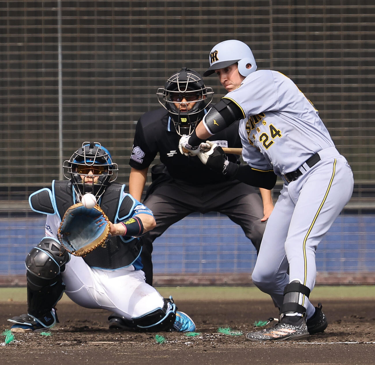 日本ハム対阪神　4回表阪神無死一塁、三振に倒れるディベイニー（撮影・上田博志）