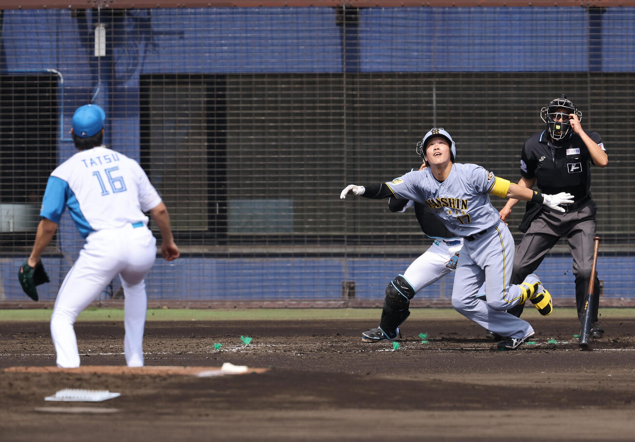 日本ハム対阪神　3回表阪神無死、伏見は達に投ゴロに抑えられる（撮影・上田博志）