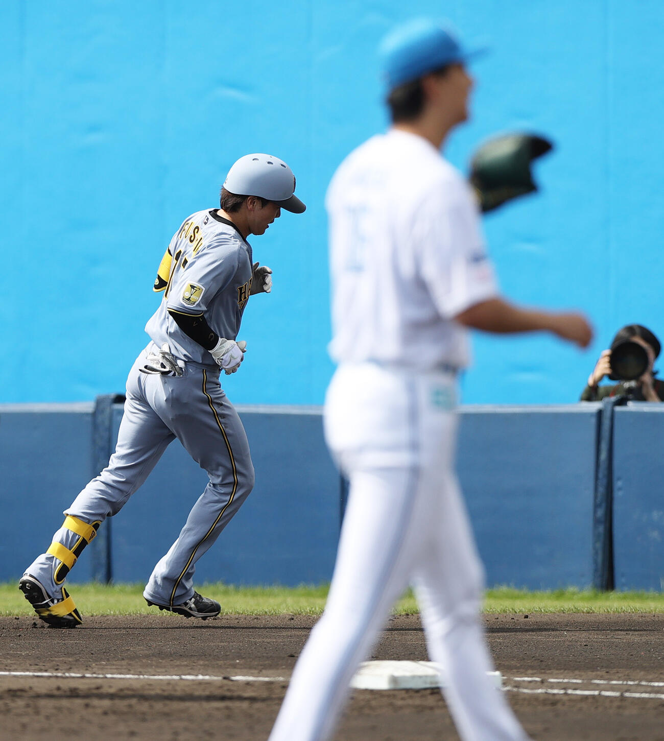 オープン戦　日本ハム対阪神　3回表阪神無死、伏見は達と対戦し投ゴロに終わる（撮影・上山淳一）