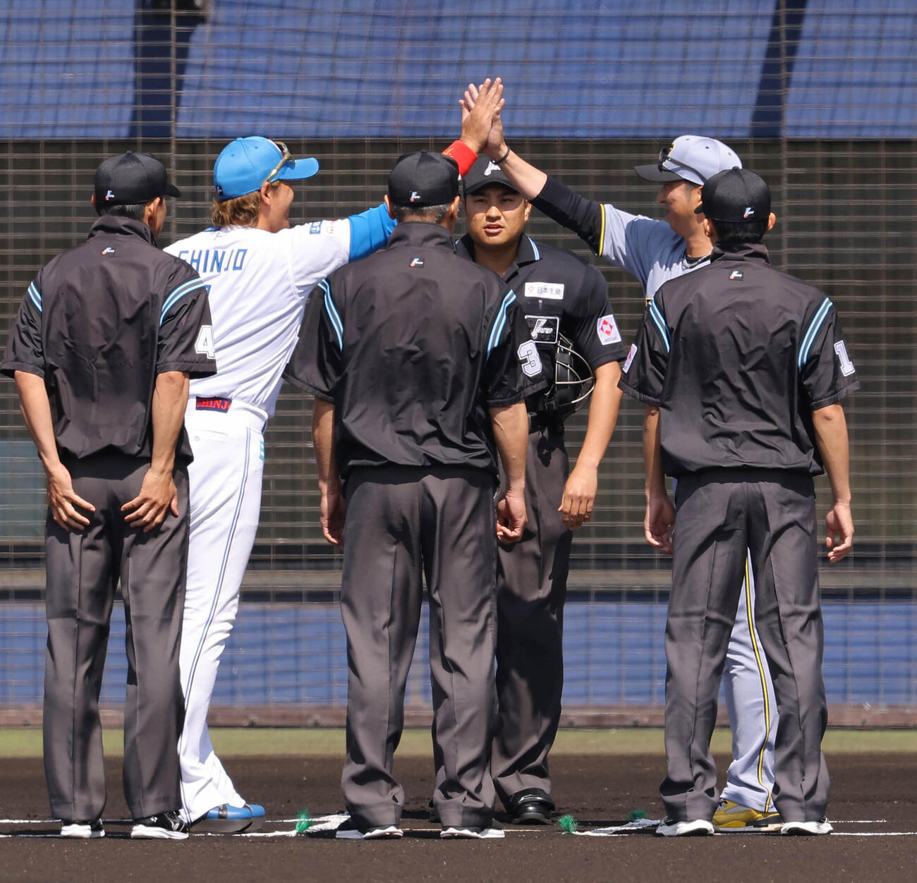 日本ハム対阪神　メンバー交換でハイタッチをする新庄監督（左）と藤川監督（撮影・上田博志）