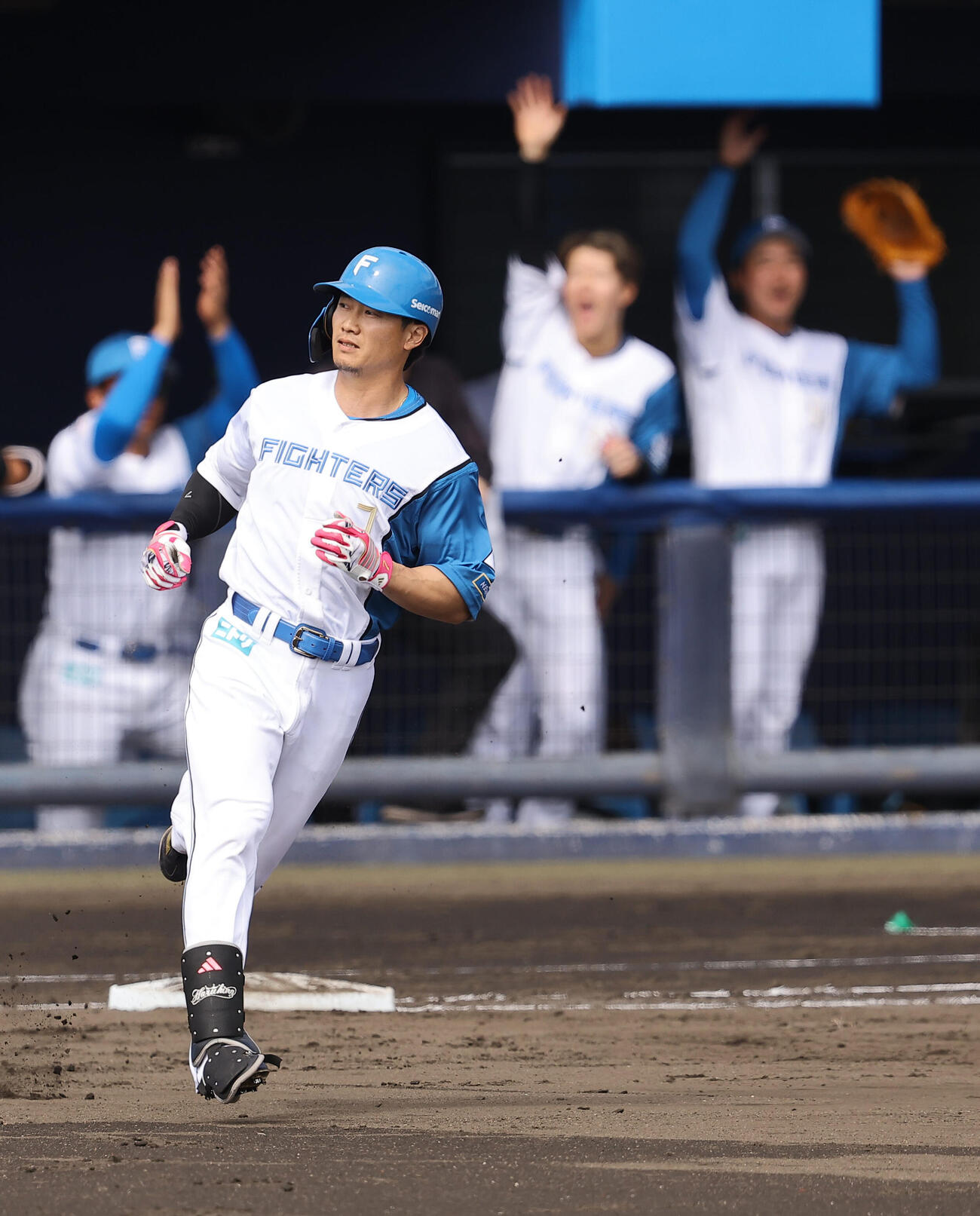 日本ハム対阪神　4回裏日本ハム1死、西川は右越えソロ本塁打を放つ（撮影・上田博志）